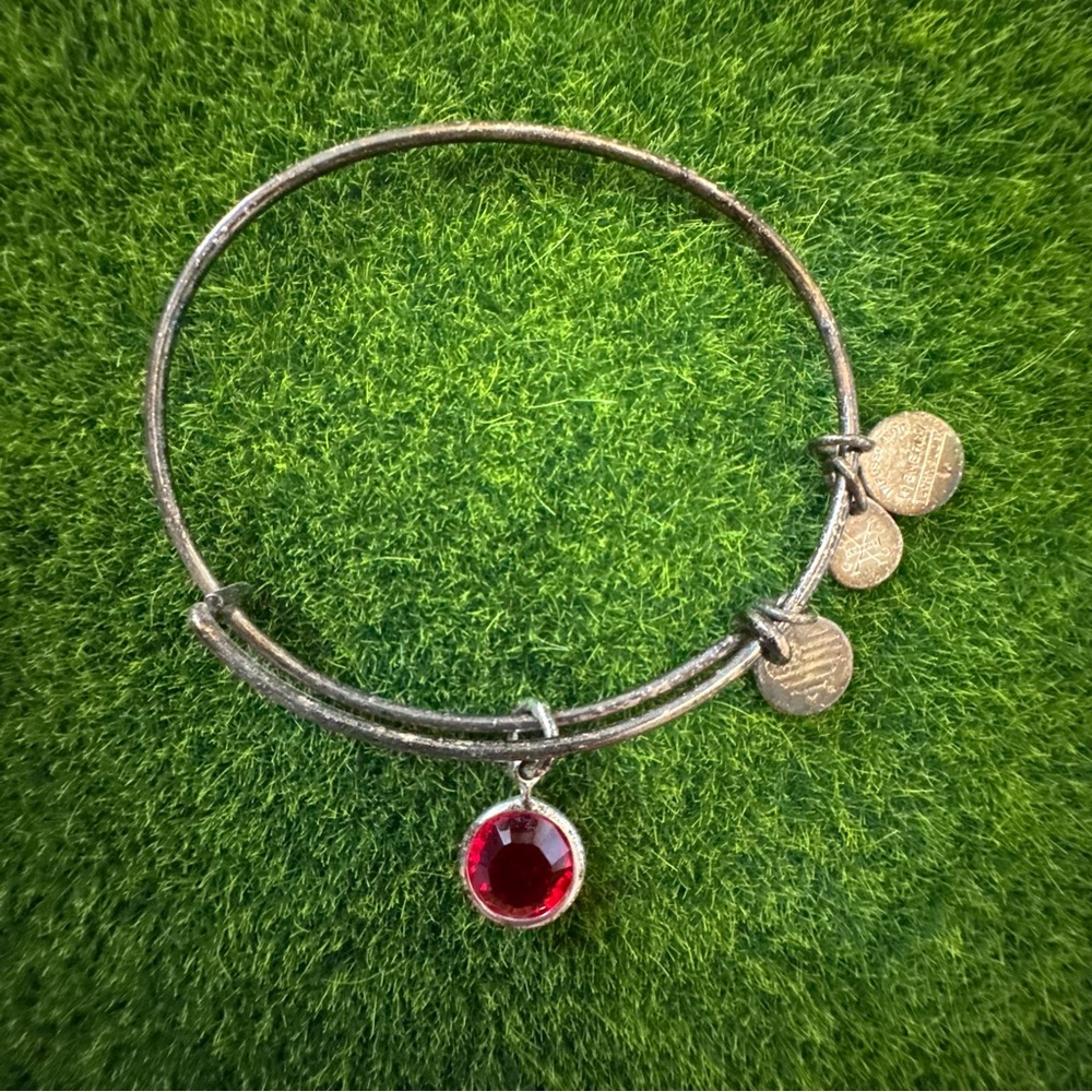 Alex & Ani Silver Ruby Stone Charm Bracelet